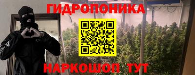a pvp Владивосток