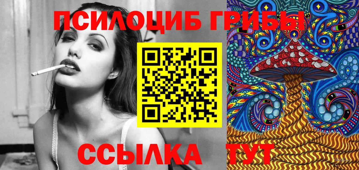 Галлюциногенные грибы Psilocybe  Галлюциногенные грибы прущие грибы  Грозный  Вход с VPN 