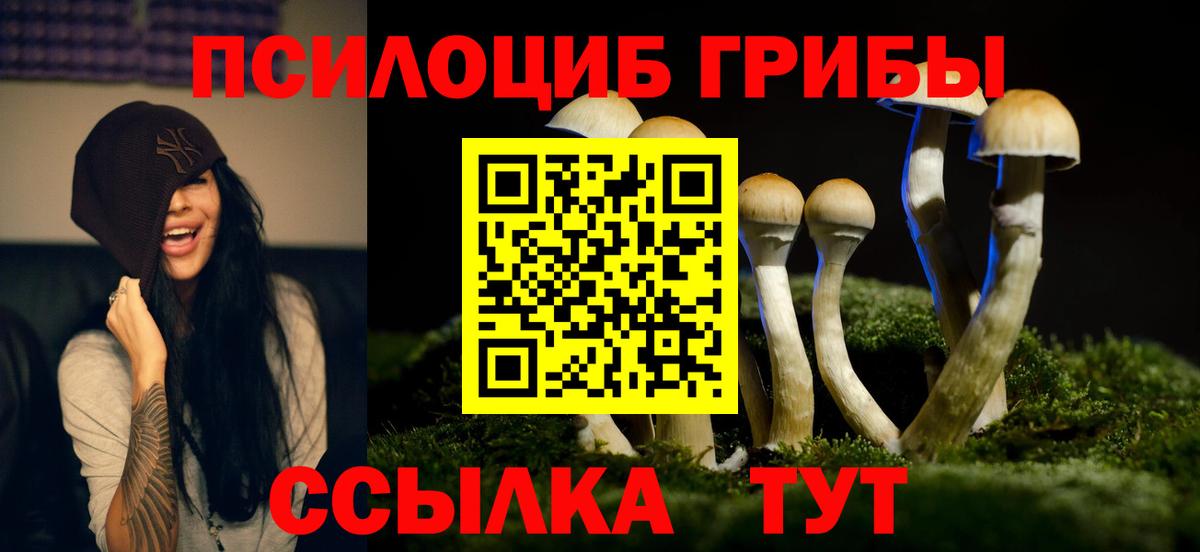 Галлюциногенные грибы мицелий Грозный