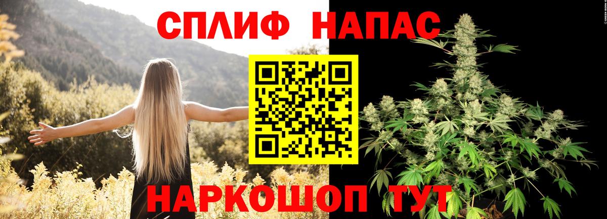 Бошки Шишки сатива Грозный